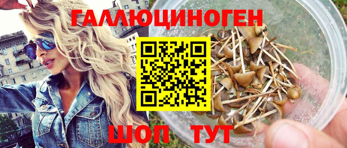 Галлюциногенные грибы мухоморы Мурманск