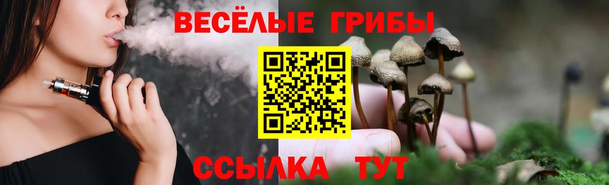 Псилоцибиновые грибы Cubensis  Псилоцибиновые грибы MAGIC MUSHROOMS  Мурманск  Вход с VPN 